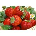 草莓农残检测机构，专业第三方草莓