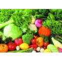 蔬菜中农药残留，非法添加，污染物