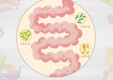 注意！益生菌保健食品要这样选，秋冬的第一份保健食品指南来了！