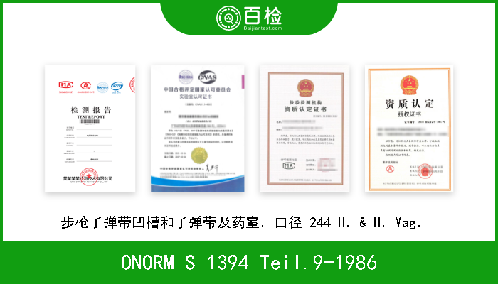 ONORM S 1394 Teil.9-1986 步枪子弹带凹槽和子弹带及枪膛．口径7毫米Rem．Mag．  