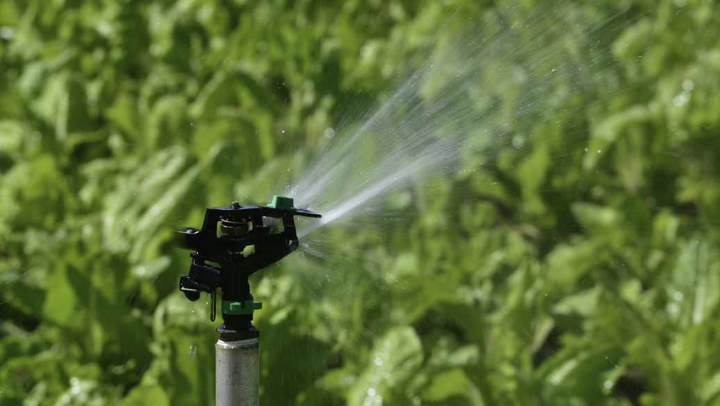 绿地灌溉水质检测标准