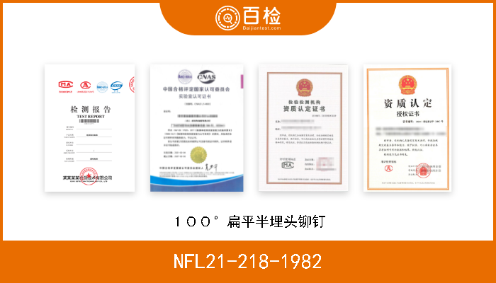 NFL21-218-1982 １００°扁平半埋头铆钉 