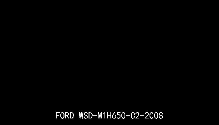 FORD WSD-M1H650-C2-2008 FORD WSD-M1H650-C2-2008  闪电（LIGHTNING）图案的6 mm厚纬编针织织物***与标准FORD WSS-M99P1111-