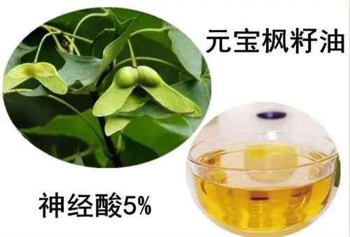 元宝枫籽油检测标准