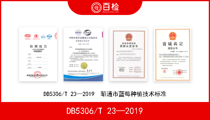 DB5306/T 23—2019 DB5306/T 23—2019  昭通市蓝莓种植技术标准 