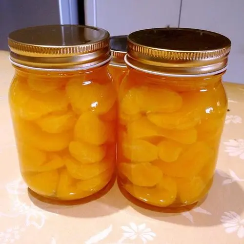 柑橘罐头检测标准